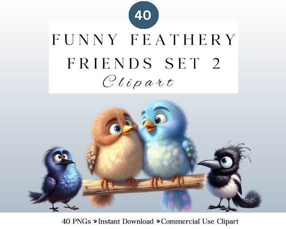 Funny Bird Clipart Bundle | Set 2 | Whimsical Cute Bird PNGs for DIY Projects | Instant Download | Commercial Use | Quirky Birds