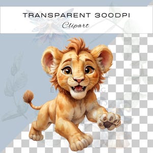 Cute Baby Lion PNG Clipart Bundle | Adorable Cub Sublimation | Jungle ...