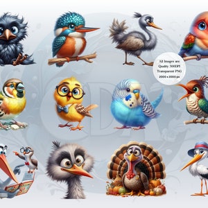 Funny Bird Clipart Bundle | Set 2 | Whimsical Cute Bird PNGs for DIY Projects | Instant Download | Commercial Use | Quirky Birds