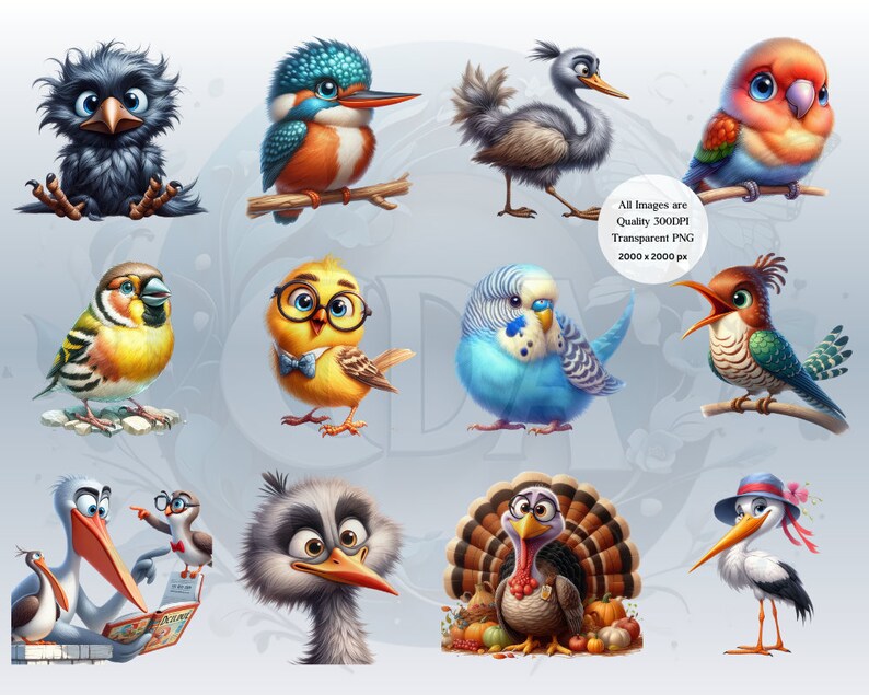 Funny Bird Clipart Bundle | Set 2 | Whimsical Cute Bird PNGs for DIY Projects | Instant Download | Commercial Use | Quirky Birds