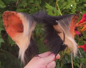 Black & Cream Ears