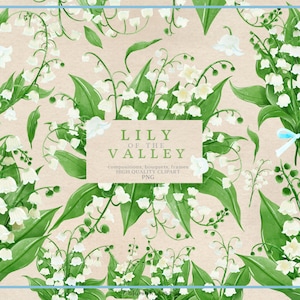 Watercolor Lily of the Valley Collection Clipart High-Quality PNG| Spring, Decor, invitation, greeting cards, Wedding, Floral, Bridal shower