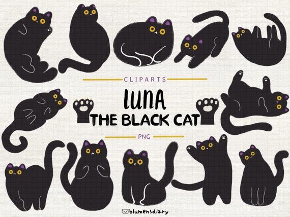 Luna Black Cat Clipart Set: Whimsical Halloween PNG Illustrations (Digital Download)