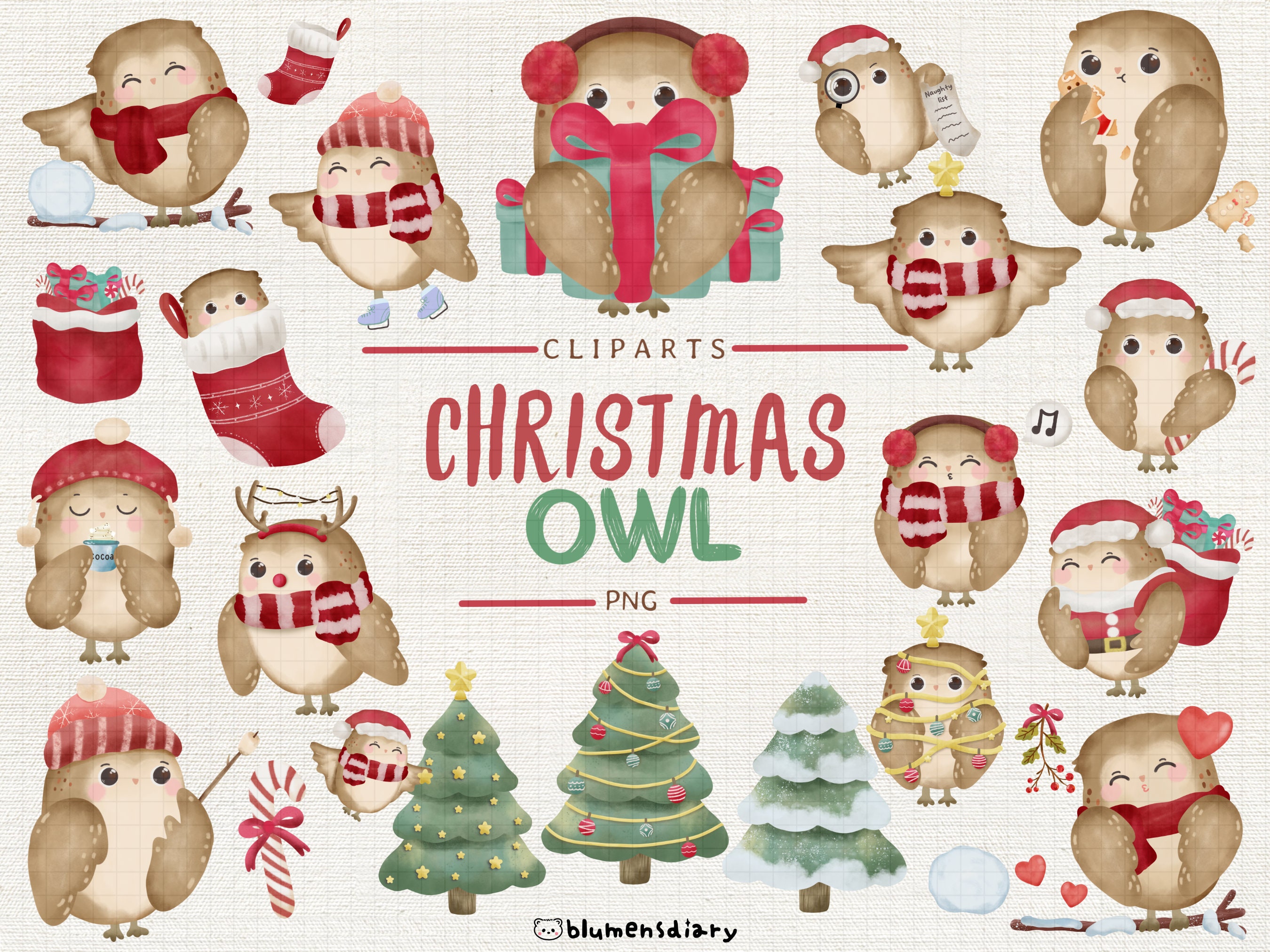 Festive Watercolor Owl Christmas Character Clip Art Set | 25 High-Quality PNGs | Cute, Kawaii, and V