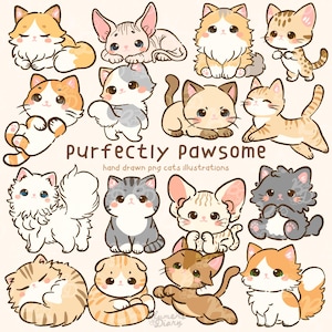Pode incluir: Uma coleção de ilustrações de gatos de desenho animado em várias poses e cores, incluindo laranja, cinza e marrom. O texto "purfectly pawsome" é exibido com as palavras "hand drawn png cats illustrations" abaixo.