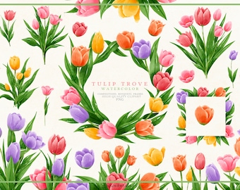 Watercolor Tulips Clipart: Spring Floral PNG Bundle (300 DPI)