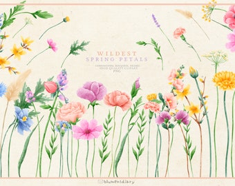 May include: Watercolor illustration of a variety of spring flowers in shades of pink, yellow, blue, and white. The flowers are arranged in a field with green stems and leaves. The text "WILDEST SPRING PETALS" is written in black at the top of the image.