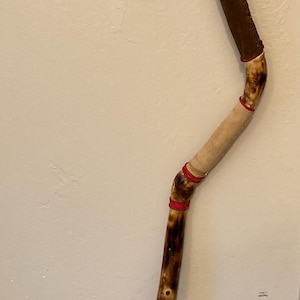 Unique Walking Stick