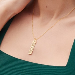 14K Gold Egypt Cartouche Necklace, Egyptian Hieroglyphic Cartouche Jewelry, Egypt Name Necklace, Ancient Symbol Necklace, Gift for Mom image 1