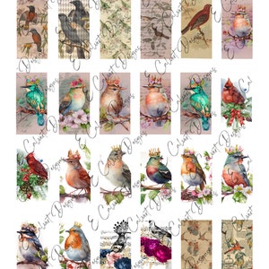 8.5 x 11 Collage Sheet, 30 - 1X2 inch Domino Images Digital Instant Download (Image # DI0111) Bird Ephemera 111