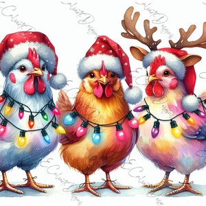 Puede incluir: Tres pollos con gorros de Papá Noel y luces de Navidad. El pollo de la derecha también lleva cuernos de reno.