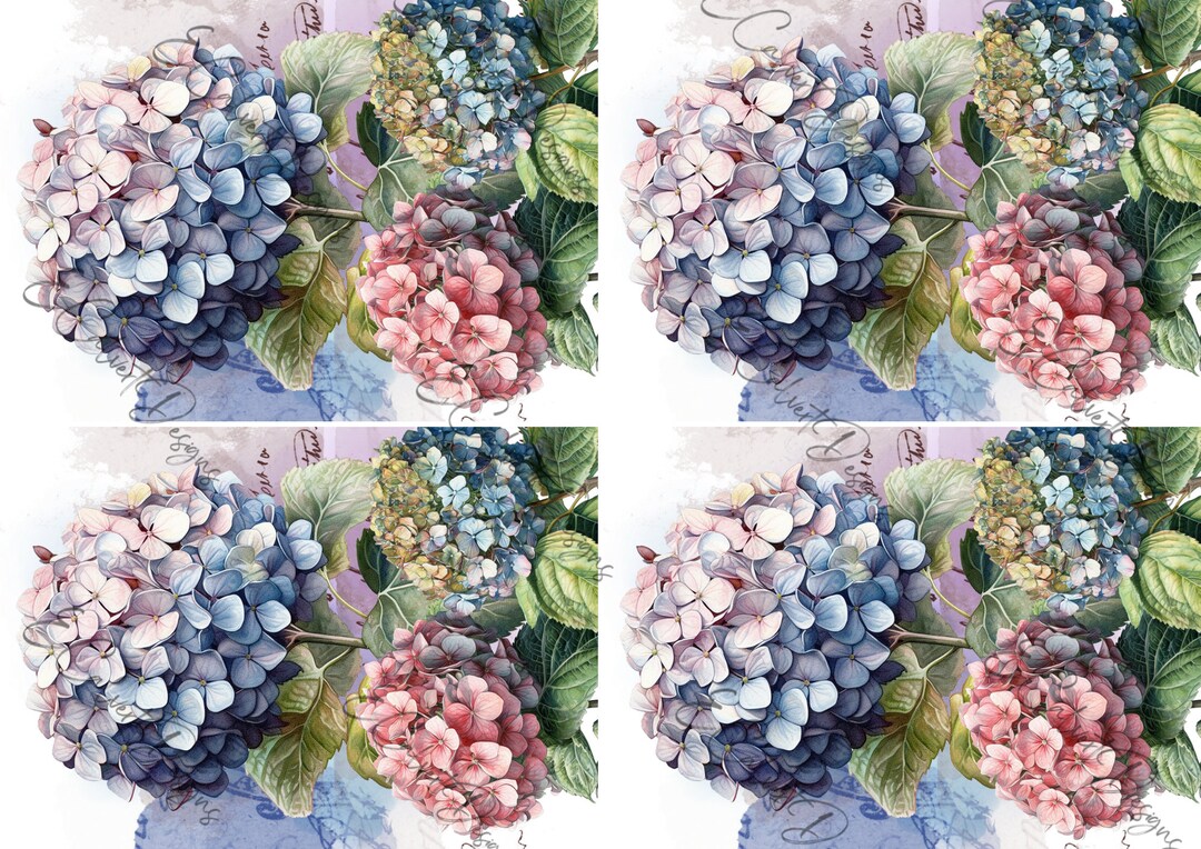 Hydrangea Rice Paper Hydrangea Bouquet 4 Prints on A4 Paper Digital Downloads for Rice Paper ...