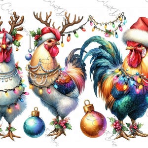 Puede incluir: Tres gallos vestidos para Navidad. Un gallo lleva un gorro de Papá Noel y tiene plumas azules, verdes y amarillas. Otro gallo lleva un gorro de Papá Noel rojo y blanco y tiene plumas blancas. El tercer gallo lleva cuernos de reno y tiene plumas blancas. Los tres gallos están decorados con luces de Navidad y adornos.