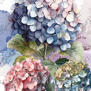 Hydrangea Bouquet Digitals for Rice Paper A4 Decoupage Watercolor