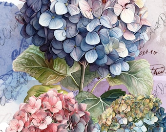 Hydrangea Rice Paper Paper Designs, Rice Paper, Flowers, Hydrangea, Butterflies, Shabby Chic ...