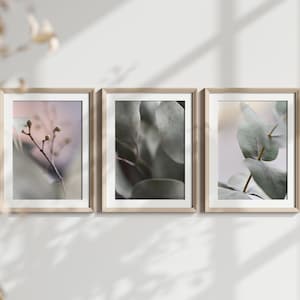 Three printable wall art, &quot;Delicate Eucalyptus&quot;, digital nature photo, instant download, home decor, art to print yourself