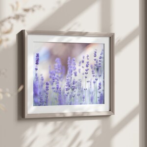 Printable wall art, "Gentle Lavender I", digital nature photo, instant download, home decor, art to print yourself