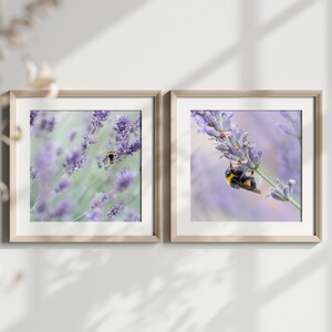 Two printable wall art, &quot;Sleeping Lavender Bumblebees&quot;, digital nature photo, instant download, home decor, art to print yourself