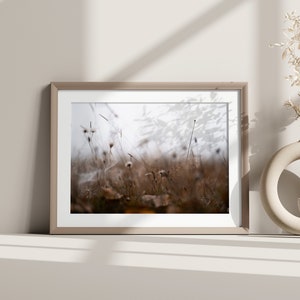 May include: A framed photograph of a field of tall grass with a soft, blurred background. The grass is a muted brown color, and the light is soft and diffused. The frame is a light brown wood.
