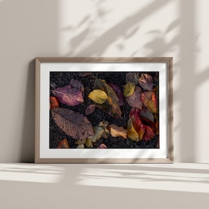 Printable wall art, &quot;Colorful Autumn&quot;, digital nature photo, instant download, home decor, art to print yourself