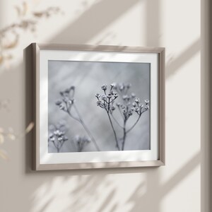 Printable wall art, &quot;Gray November Mood&quot;, digital nature photo, instant download, home decor, art to print yourself