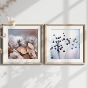 Two printable wall art, &quot;Pastel Macro&quot;, digital nature photo, instant download, home decor, art to print yourself