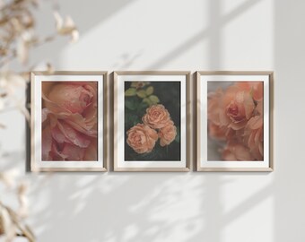 drei druckbare Wandbilder, "Vintage Rosen", digitales Naturfoto, Sofort Download, Wohndeko, Kunst zum Selbstausdrucken