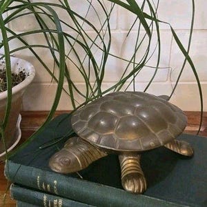Può includere: Una statuetta di tartaruga in ottone con un guscio segmentato dettagliato e arti testurizzati. La tartaruga è posizionata sopra una pila di due libri con copertina rigida verde scuro, mostrando una finitura metallica con riflessi di luce.