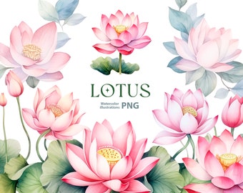 Watercolor Lotus Clipart Set: Pink Water Lily Flowers (PNG Digital Download)