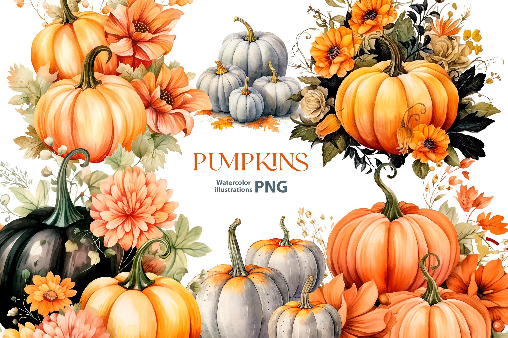 Watercolor Pumpkin Clipart Set, 10 Png, Autumn Clipart, Watercolor Fall ...