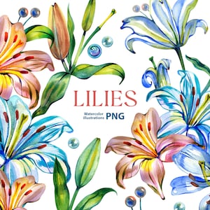 Watercolor lilies clipart set, 10 Png, Watercolor Lily Clipart, lilies in PNG, Lily PNG, Spring Flower, Wedding Flower Watercolor Clipart