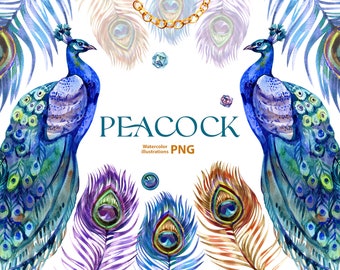 Watercolor Peacock Clipart: Boho Feather PNG (Digital Download)