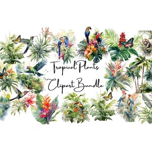 tropical plants clipart jungle clipart flowers clipart plant clipart wildlife clipart PNG clipart bundle tropical rainforest clipart
