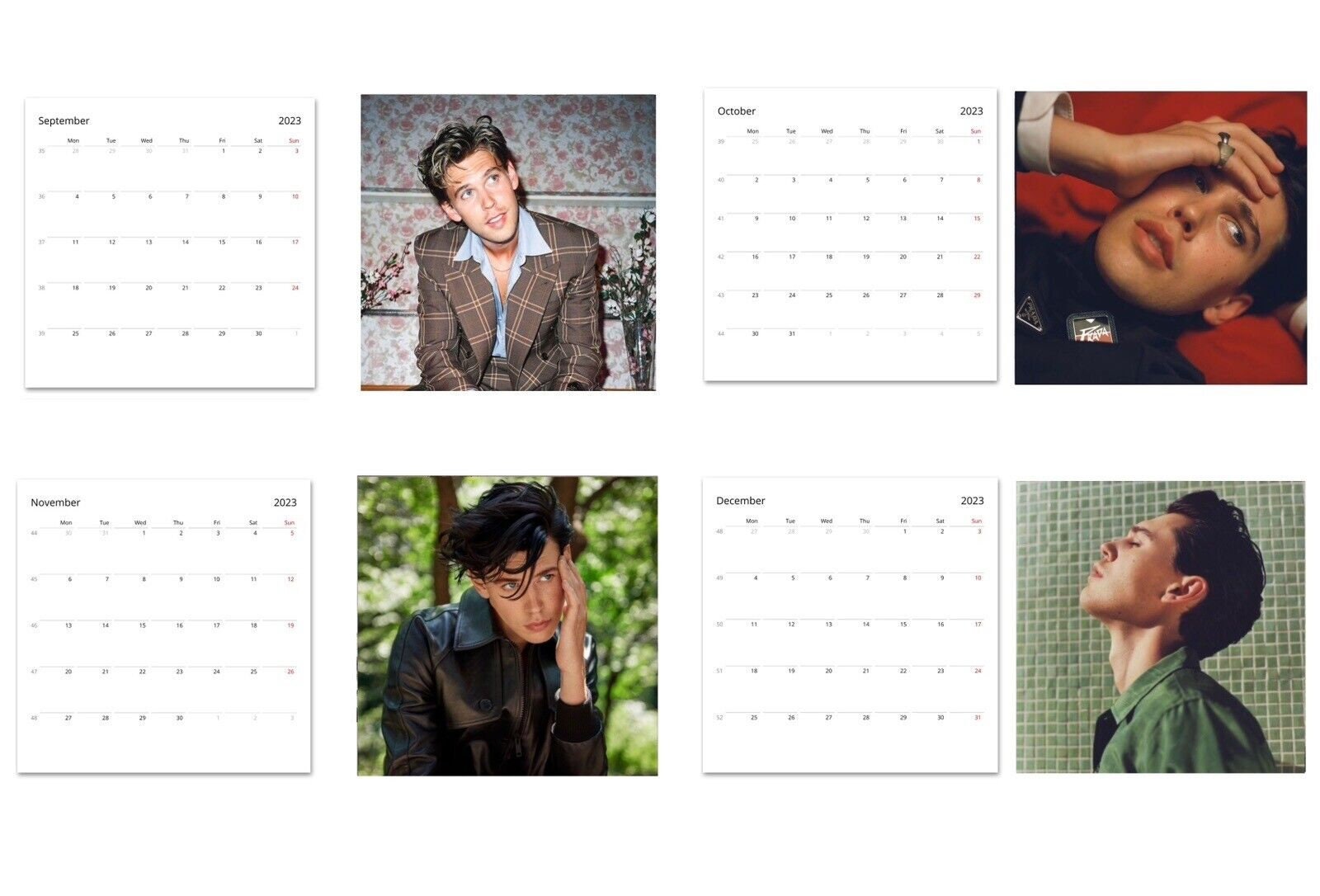 Austin Butler Calendar 2024 Calendar, Wall Calendar 2024 sold by Julietta Instant SKU