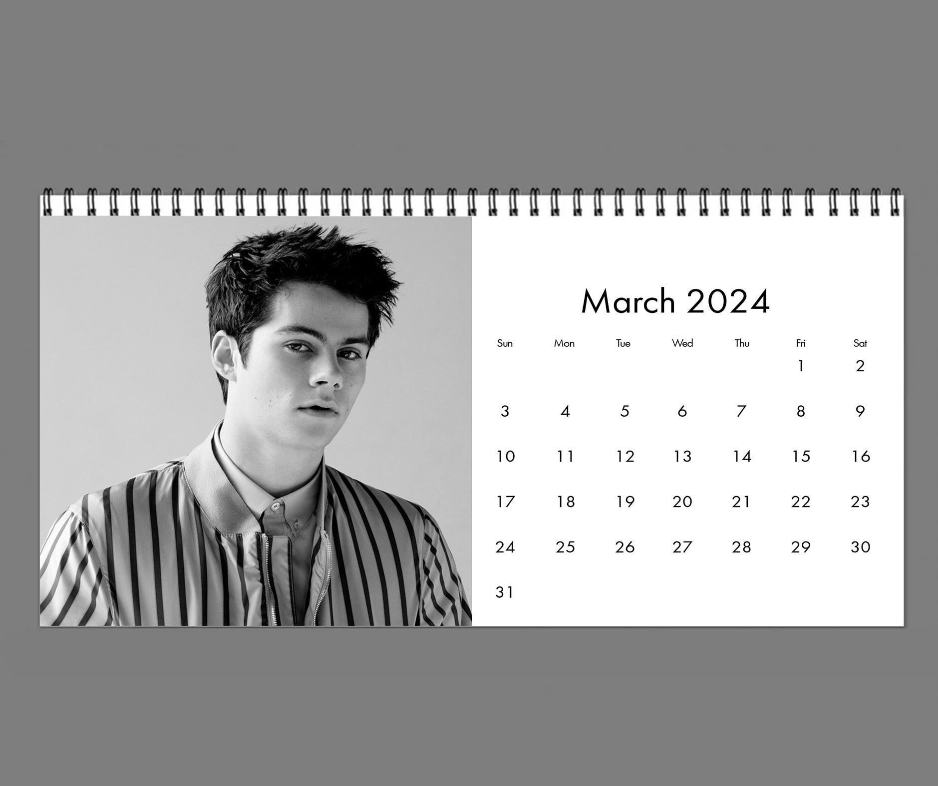 2024 Dylan O'brien Calendar, 2024 Desk Calendar,celebrity Calendar