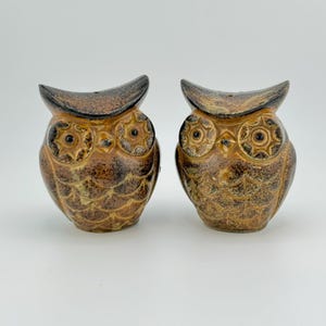 May include: A pair of ceramic owl salt and pepper shakers. The owls are brown with black accents and have detailed eyes.