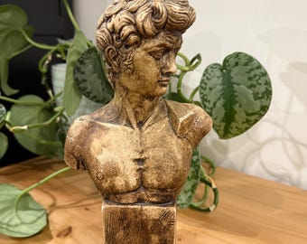 ミケランジェロのダビデ像 - 美術館品質のレプリカ - 大理石複合彫刻