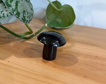 Black Stone Mushroom