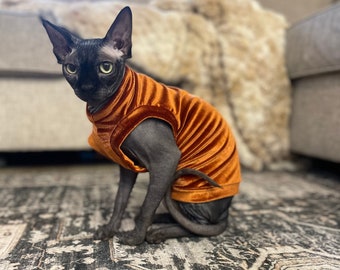 Chemise chat Sphynx Vêtements pour chat Sphynx Vêtements pour chat nu Pull chat Sphynx Pull chat Sphynx Chemise Sphynx Chemise chat nu Chemise bambino