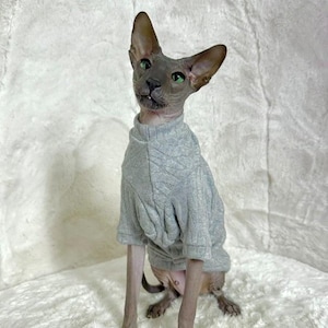 Long Sleeve Sphynx Cat Shirt Sphynx Sweater Hairless Cat Clothes Sphynx Cat Clothes Sphynx Sphynx Shirt Hairless Cat Shirt