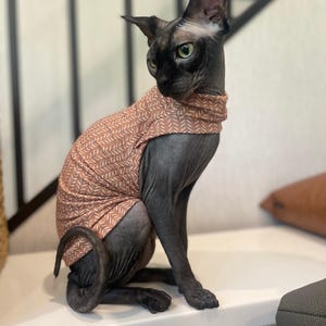 Sphynx Cat Clothes Sphynx Cat Shirt One Arm Hole Sphynx Cat Clothes Sphynx Cat Shirt Hairless Cat clothes Hairless cat shirt Bambino Clothes