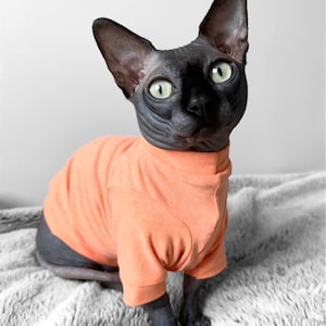 Long Sleeve Sphynx Cat Shirt: Handmade in Cotton Stretch Fabric
