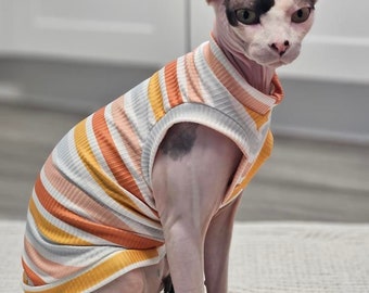 Chemise chat Sphynx Vêtements pour chat Sphynx Vêtements pour chat nu Pull chat Sphynx Pull chat Sphynx Chemise Sphynx Chemise chat nu Chemise bambino