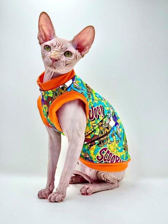 Chemise pour chat Sphynx faite main tricot coton lycra