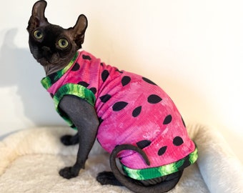 Chemise chat Sphynx Vêtements pour chat Sphynx Vêtements pour chat nu Pull chat Sphynx Pull chat Sphynx Chemise Sphynx Chemise chat nu Chemise bambino