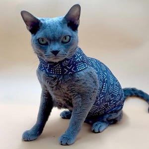 Sphynx Cat Clothes Sphynx Cat Shirt One Arm Hole Sphynx Cat Clothes Sphynx Cat Shirt Hairless Cat clothes Hairless cat shirt Bambino Clothes