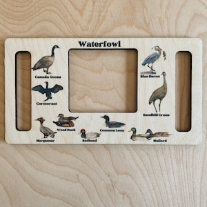 Nature Window, Nature Hunt, Nature Identifier, Nature Guide, Montessori Materials, Bird Identification