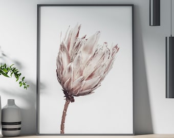 Póster de flores secas, arte mural botánico minimalista, impresión de naturaleza