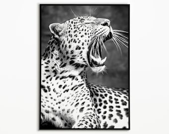 Black and White Leopard Print: Wild Animal Art Poster