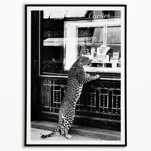 Panther im Jewelry Shop Poster, Geparden Print, schwarz und weiß, Vintage Fotografie, Fashion Print, 1950 Wandkunst Poster, Vintage Poster